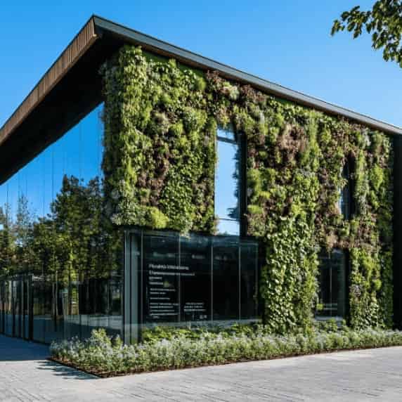 屋顶花园与垂直绿化工程