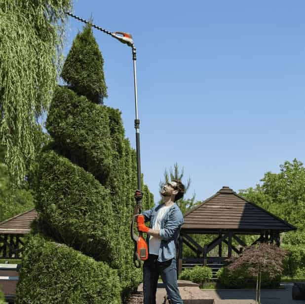 庭院植物养护与托管