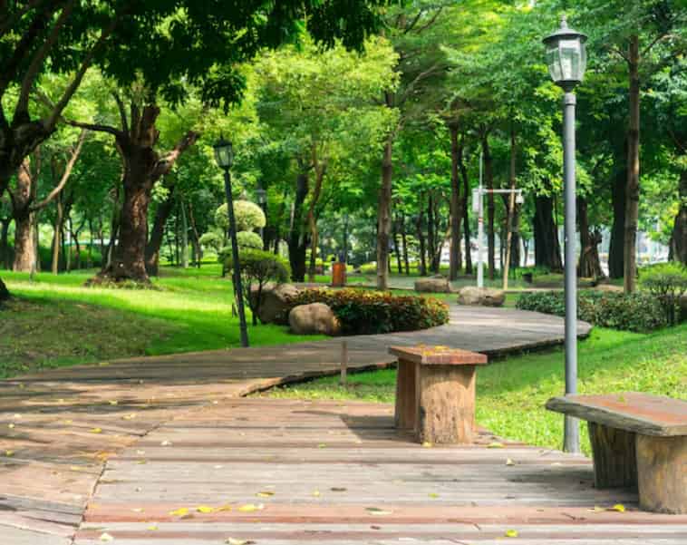 如何为花坛和路径设计精致的收边细节？