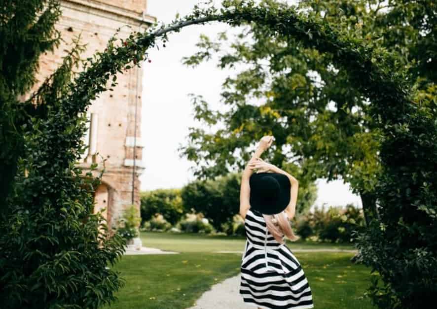 如何为爬藤植物设计优雅的支撑系统？